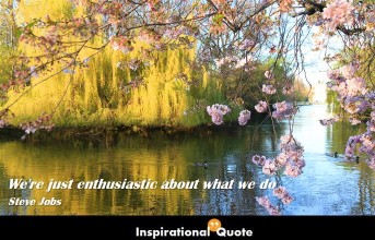 Steve Jobs – We’re just enthusiastic about what we do