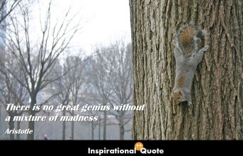 Aristotle – There is no great genius without a mixture of madness