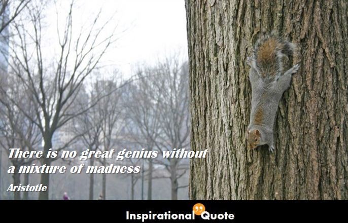 Aristotle – There is no great genius without a mixture of madness