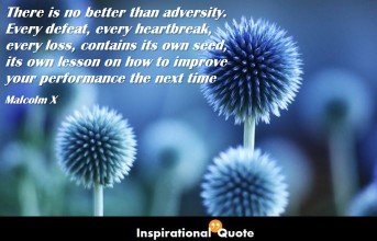 Malcolm X – There is no better than adversity. Every defeat, every heartbreak, every loss, contains its own seed, its own lesson on how to improve your performance the next time
