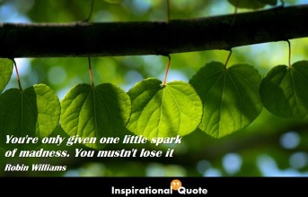 Robin Williams – You’re only given one little spark of madness. You mustn’t lose it